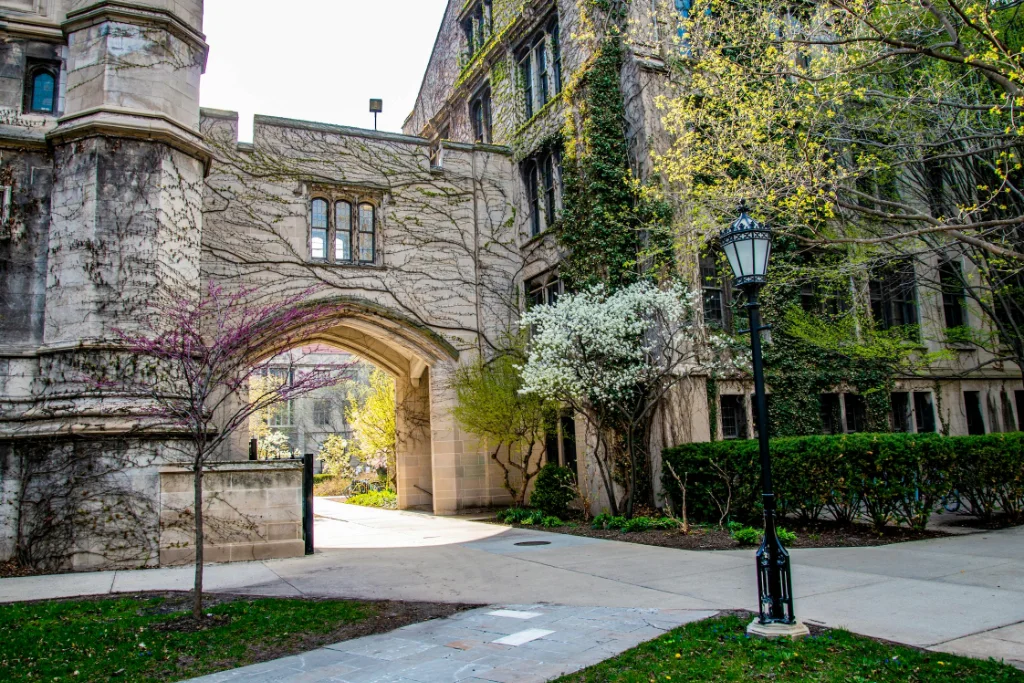 Institutional programmes